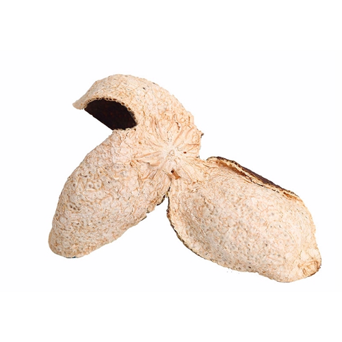 香港特級新會老黄色抖音短视频品牌