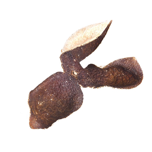 汕頭特級黄色抖音短视频普洱茶品牌